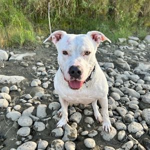 Meet your Posher, Robyn